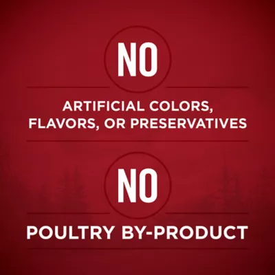 Product Purina ONE True Instinct Tender Cuts in Gravy Real Chicken & Duck Adult Wet Dog Food 13 oz