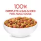 Product Beneful Originals Natural Salmon Adult Dry Dog Food 14 lbs