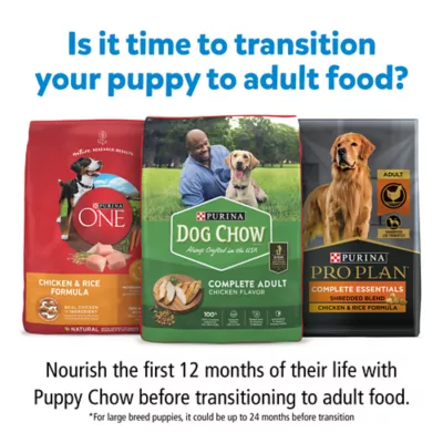 Product Puppy Chow Tender & Crunchy Beef & Rice Puppy Dry Dog Food 15 lbs
