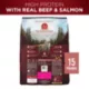 Product Purina ONE True Instinct High Protein Real Beef & Salmon Adult Dry Dog Food 15 lb