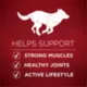 Product Purina ONE True Instinct High Protein Real Beef & Salmon Adult Dry Dog Food 15 lb
