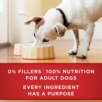 Product Purina ONE Classic Ground Entree Variety Pack Wet Dog Food 13 oz 6 ct