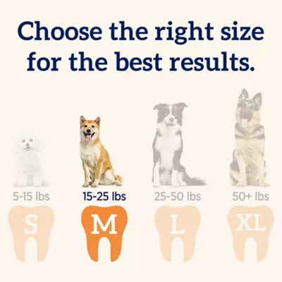 Product Groovies Next Generation Dental Chews - Medium