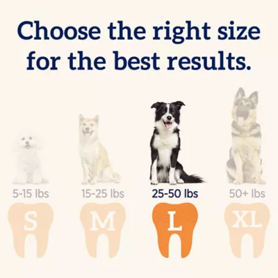 Product Groovies Next Generation Dental Chews - Large
