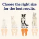 Product Groovies Next Generation Dental Chews - Large
