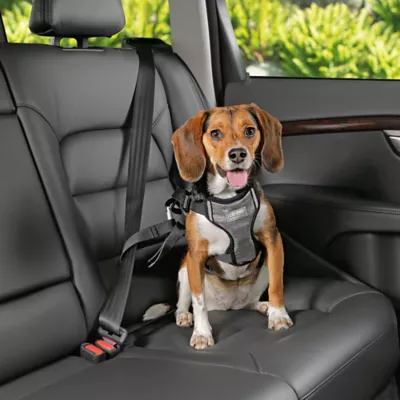 Product Top Paw® Travel Harness