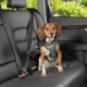 Product Top Paw® Travel Harness