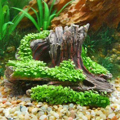 Product Aqua-Flora ™ Living Log