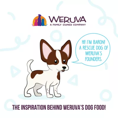 Product Weruva Dog Meals 'n More Adult Wet Dog Food - Skin & Coat Health, Shreds in Pumpkin Soup, 3.5 oz