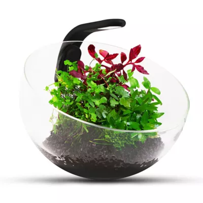 Product Aqualighter Picosoft Lamp