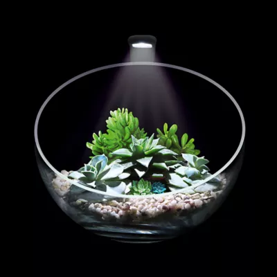 Product Aqualighter Picosoft Lamp