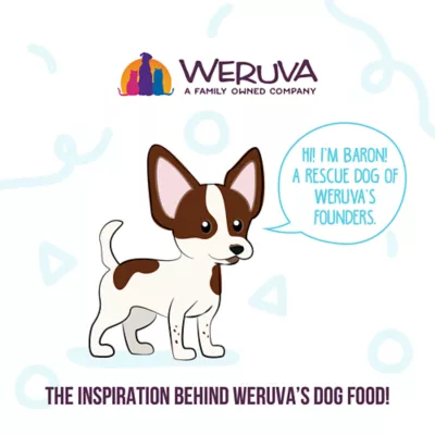 Product Weruva Dog Meals 'n More Adult Wet Dog Food - Skin & Coat, Woof Woof Floof! Variety Pack, 10ct