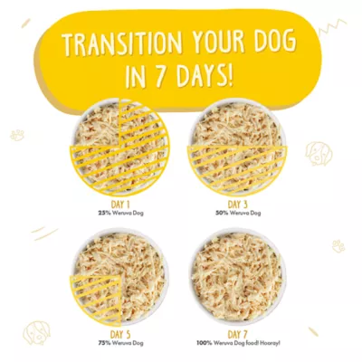 Product Weruva Dog Classic Adult Wet Dog Food - Grain Free, Shreds in Gravy, 14 oz