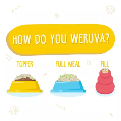 Product Weruva Dog Classic Adult Wet Dog Food - Grain Free, Shreds in Gravy, 14 oz