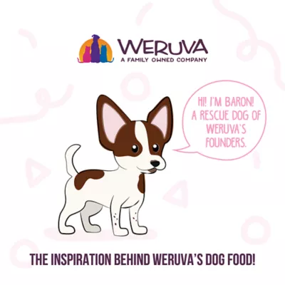 Product Weruva Dog Meals 'n More Adult Wet Dog Food - Digestive Support, Variety Pack, 10ct