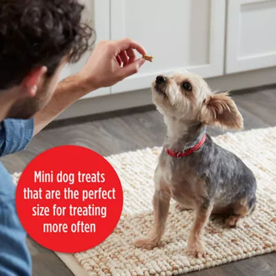 Product Milk-Bone Mini Chicken Soft and Chewy 18 OZ