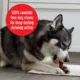 Product Milk-Bone Flavor Rolls Beef and Cheese 11 OZ
