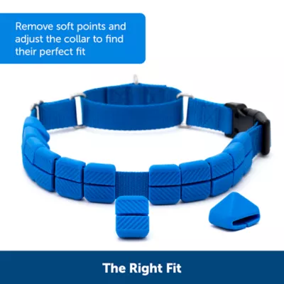 Product PetSafe® Soft Point Training Collar - No Pull Rubber Soft Points - Royal Blue or Black Options