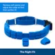 Product PetSafe® Soft Point Training Collar - No Pull Rubber Soft Points - Royal Blue or Black Options