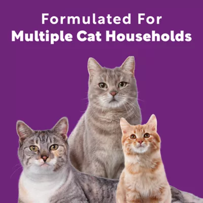 Product Scoop Away Multi-Cat Clumping Litter With Meadow Fresh Scent, Box, 25 LB