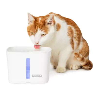 Product PetSafe® Viva Pet Water Fountain - 1.8L/64 oz - Filters Included