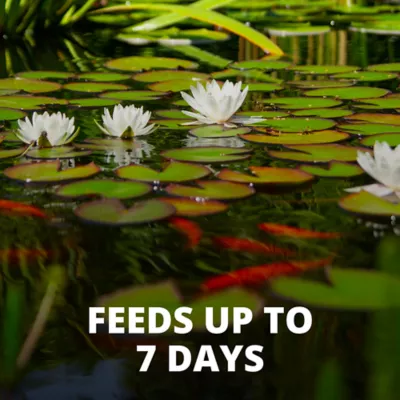 Product TetraPond Vacation Food
