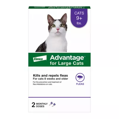 Product Advantage Topical Cat Flea Treatment and Prevention For Large Cats Over 9 lbs.