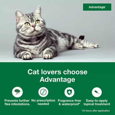Product Advantage Topical Cat Flea Treatment and Prevention For Large Cats Over 9 lbs.