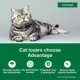 Product Advantage Topical Cat Flea Treatment and Prevention For Large Cats Over 9 lbs.