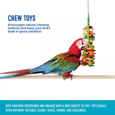 Product All Living Things® Pineapple Bird Toy