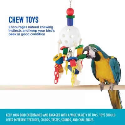 Product All Living Things® Wiffle Ball and Chains Bird Toy