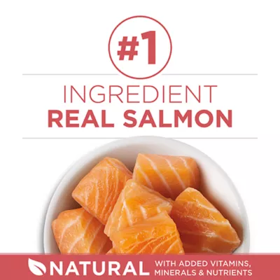Product Purina ONE +Plus Indoor Cat Advantage Dry Food - Salmon, 1.8 kg