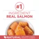 Product Purina ONE +Plus Indoor Cat Advantage Dry Food - Salmon, 1.8 kg
