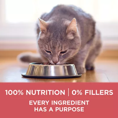 Product Purina ONE +Plus Indoor Cat Advantage Dry Food - Salmon, 1.8 kg