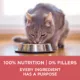 Product Purina ONE +Plus Indoor Cat Advantage Dry Food - Salmon, 1.8 kg