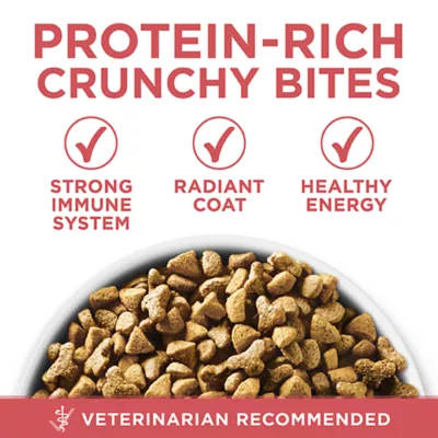 Product Purina ONE +Plus Indoor Cat Advantage Dry Food - Salmon, 1.8 kg