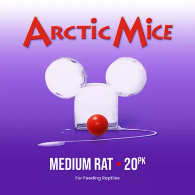 Product Arctic Mice Frozen Medium Rats