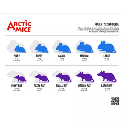 Product Arctic Mice Frozen Large Rats