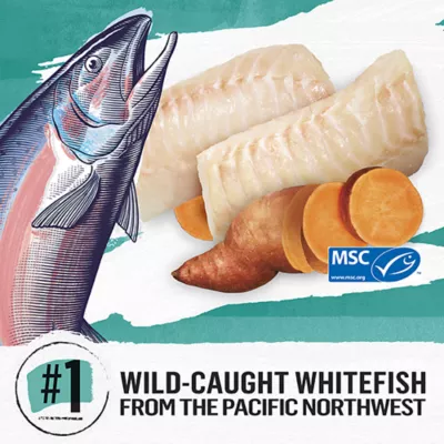 Product Beyond Grain Free Dry Cat Food - Wild-Caught Whitefish & Free Run Egg Recipe
