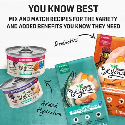Product Beyond Grain Free Dry Cat Food - Wild-Caught Whitefish & Free Run Egg Recipe