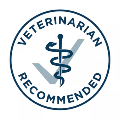 Product Purina ONE +Plus Skin & Coat Dry Dog Food - Salmon