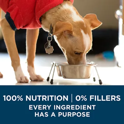 Product Purina ONE +Plus Skin & Coat Dry Dog Food - Salmon