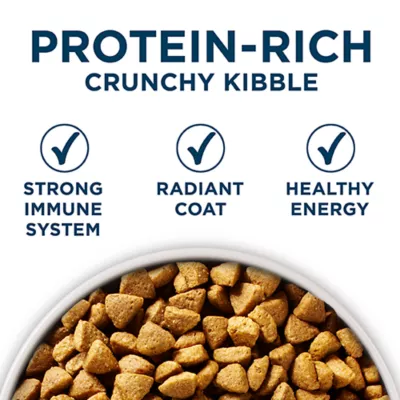 Product Purina ONE +Plus Skin & Coat Dry Dog Food - Salmon