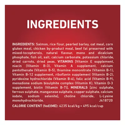 Product Purina ONE +Plus Skin & Coat Dry Dog Food - Salmon