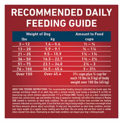 Product Purina ONE +Plus Skin & Coat Dry Dog Food - Salmon