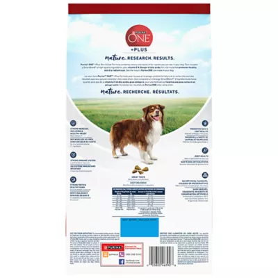 Product Purina ONE +Plus Skin & Coat Dry Dog Food - Salmon