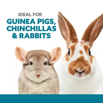 Product Full Cheeks™ Small Pet Steel Hay Ball