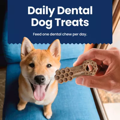 Product Blue Buffalo Medium Dental Chews - Chicken & Spearmint