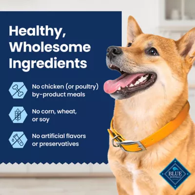 Product Blue Buffalo Medium Dental Chews - Chicken & Spearmint