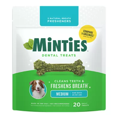 Product Minties Dental Bones Dog Treats 16 OZ